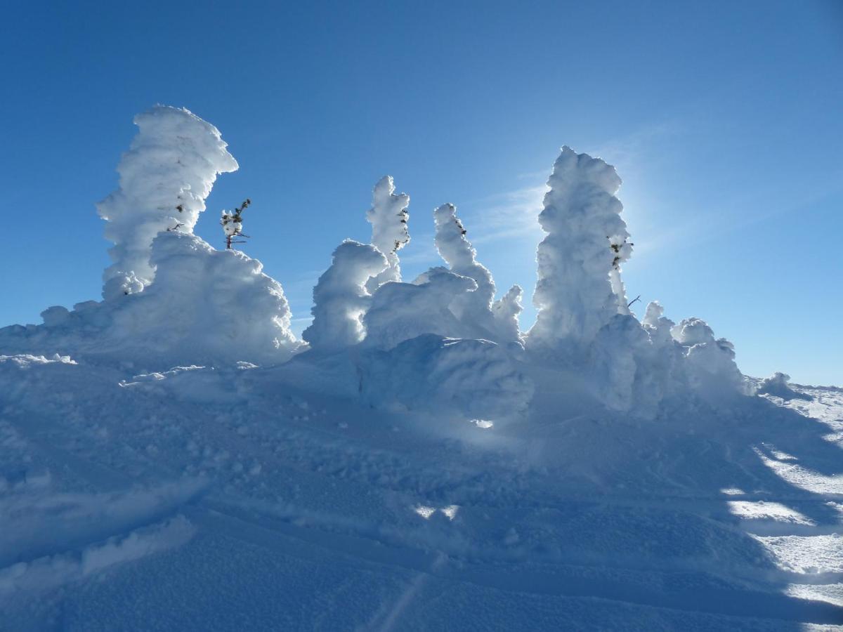 Chateau Big White Big White Ski Resort Exterior foto